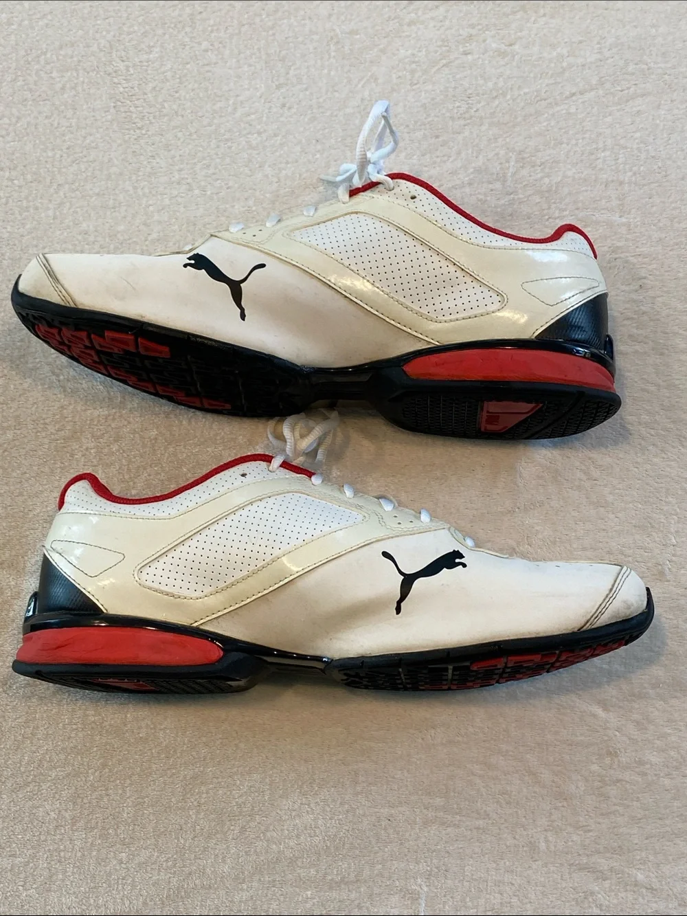 Puma tazon fm